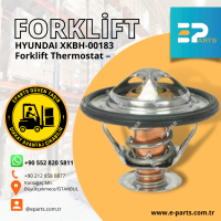 HYUNDAI XKBH-00183 Termostat
