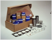 PERKİNS MOTOR KİTİ